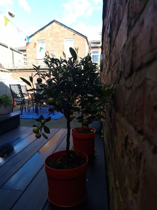 Gorgeous Edwardian Terrace In Old Trafford Villa Manchester Ngoại thất bức ảnh